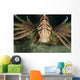 Red Lionfish Malaysia Close-up Wall Decal