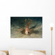 Red Lionfish Malaysia Wall Decal