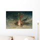Red Lionfish Malaysia Wall Decal