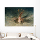 Red Lionfish Malaysia Wall Decal