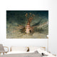 Red Lionfish Malaysia Wall Decal