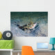 Red-margin Shrimpgoby Malaysia Wall Decal