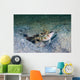 Red-margin Shrimpgoby Malaysia Wall Decal