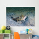 Red-margin Shrimpgoby Malaysia Wall Decal