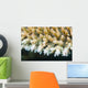 Macro Look Coral Malaysia Wall Decal