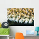 Macro Look Coral Malaysia Wall Decal