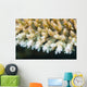 Macro Look Coral Malaysia Wall Decal