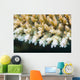 Macro Look Coral Malaysia Wall Decal