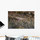 Tiny Melasma Dwarfgoby Resting Wall Decal