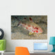 Freckled Goatfish Malaysia Wall Decal