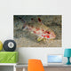 Freckled Goatfish Malaysia Wall Decal