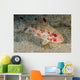 Freckled Goatfish Malaysia Wall Decal