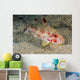 Freckled Goatfish Malaysia Wall Decal