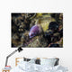 White-eyed Moray Eel Malaysia Wall Decal