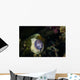 White-eyed Moray Eel Malaysia Front Face Wall Decal