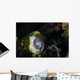 White-eyed Moray Eel Malaysia Front Face Wall Decal