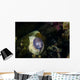 White-eyed Moray Eel Malaysia Front Face Wall Decal