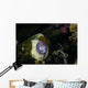 White-eyed Moray Eel Malaysia Front Face Wall Decal
