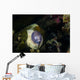 White-eyed Moray Eel Malaysia Front Face Wall Decal