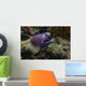 White-eyed Moray Eel Malaysia Open Mouth Wall Decal