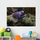 White-eyed Moray Eel Malaysia Open Mouth Wall Decal