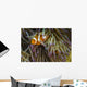 False Clownfish Their Anemone Wall Decal