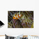 False Clownfish Their Anemone Wall Decal