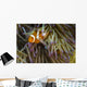 False Clownfish Their Anemone Wall Decal
