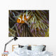 False Clownfish Their Anemone Wall Decal