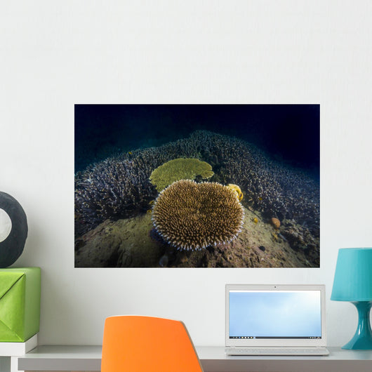 Coral Reef Malaysia Wall Decal