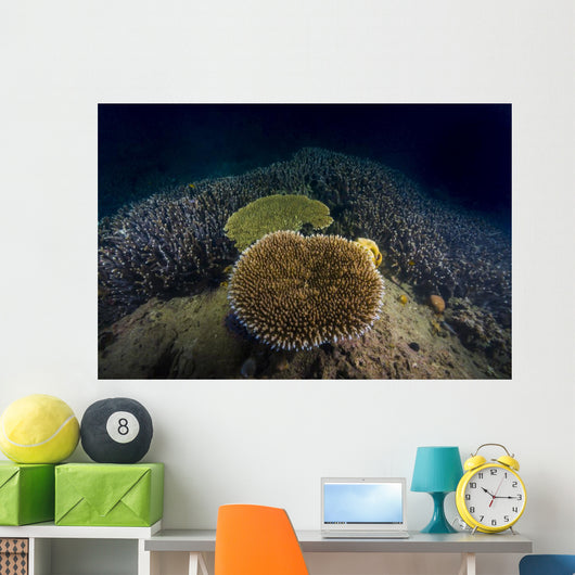 Coral Reef Malaysia Wall Decal