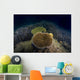 Coral Reef Malaysia Wall Decal
