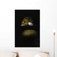 Kelp Rockfish Hood Canal Wall Decal