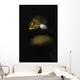 Kelp Rockfish Hood Canal Wall Decal