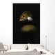 Kelp Rockfish Hood Canal Wall Decal
