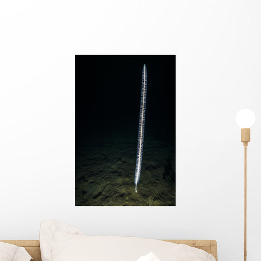 Sea Whip Hood Canal Wall Decal