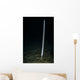 Sea Whip Hood Canal Wall Decal