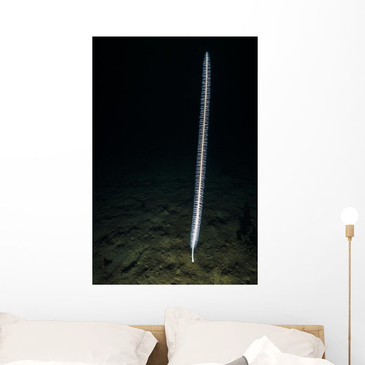 Sea Whip Hood Canal Wall Decal