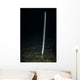 Sea Whip Hood Canal Wall Decal