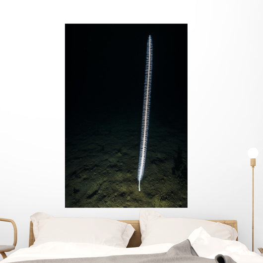Sea Whip Hood Canal Wall Decal