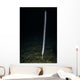 Sea Whip Hood Canal Wall Decal