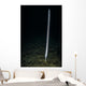 Sea Whip Hood Canal Wall Decal