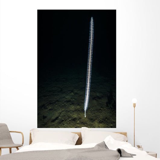 Sea Whip Hood Canal Wall Decal