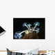 Giant Plumose Anemone Hood Horizontal Wall Decal