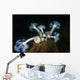 Giant Plumose Anemone Hood Horizontal Wall Decal