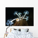 Giant Plumose Anemone Hood Horizontal Wall Decal
