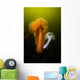 Giant Plumose Anemone Hood Wall Decal