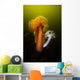 Giant Plumose Anemone Hood Wall Decal