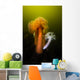 Giant Plumose Anemone Hood Wall Decal