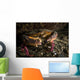 Rock Crab Hood Canal Wall Decal
